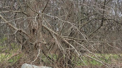 Vacant Land For Sale - Lot 2 Church Street<br/> Hebron, CT 06248