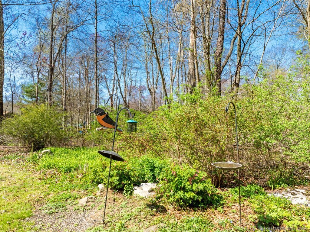 40 Louise Road, Lebanon, Connecticut image 31