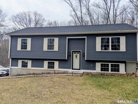 Photo of 29 Tripp Hollow Road, Brooklyn, CT 06234 (MLS # 24163451)