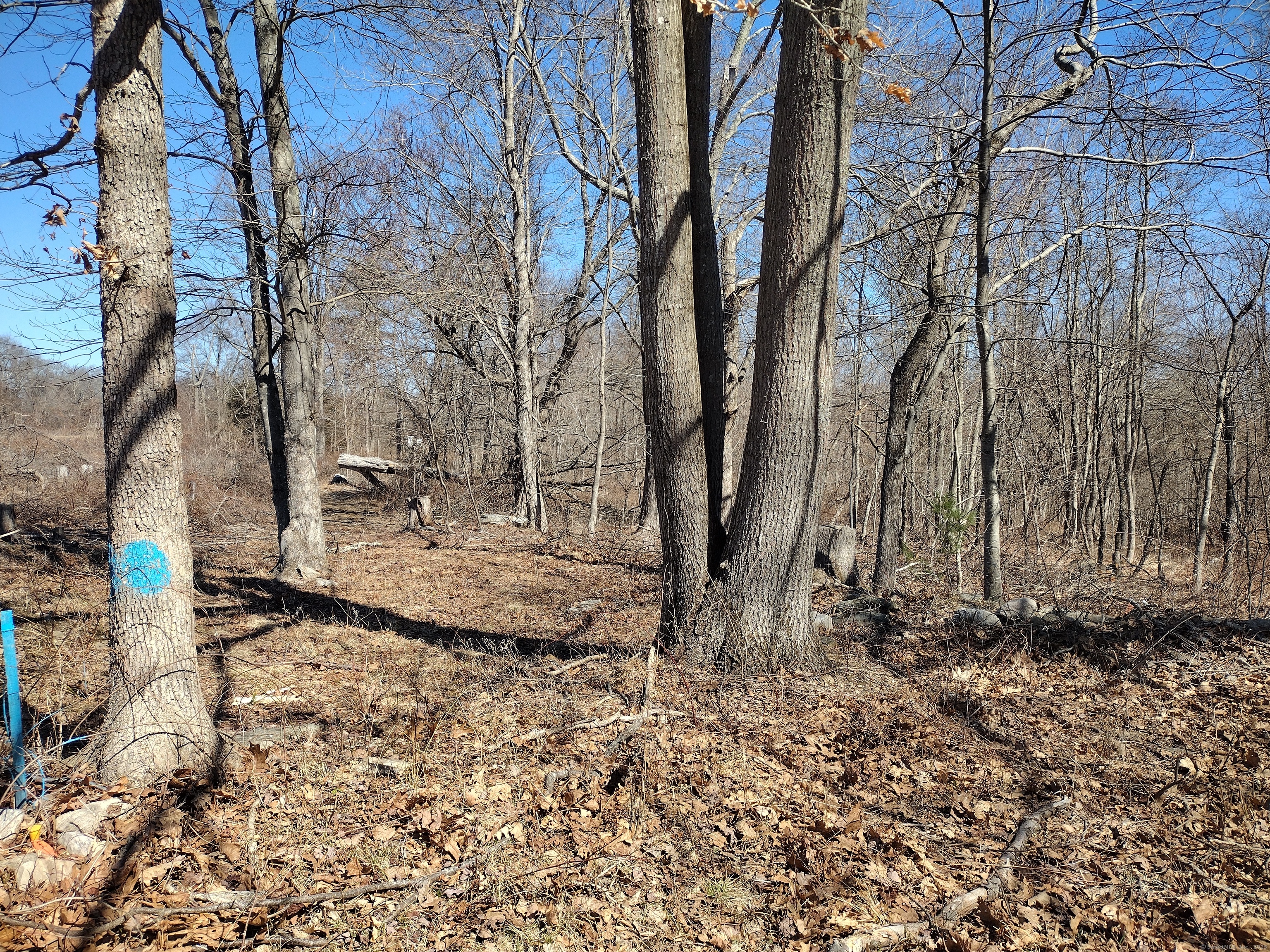 1394 North Road