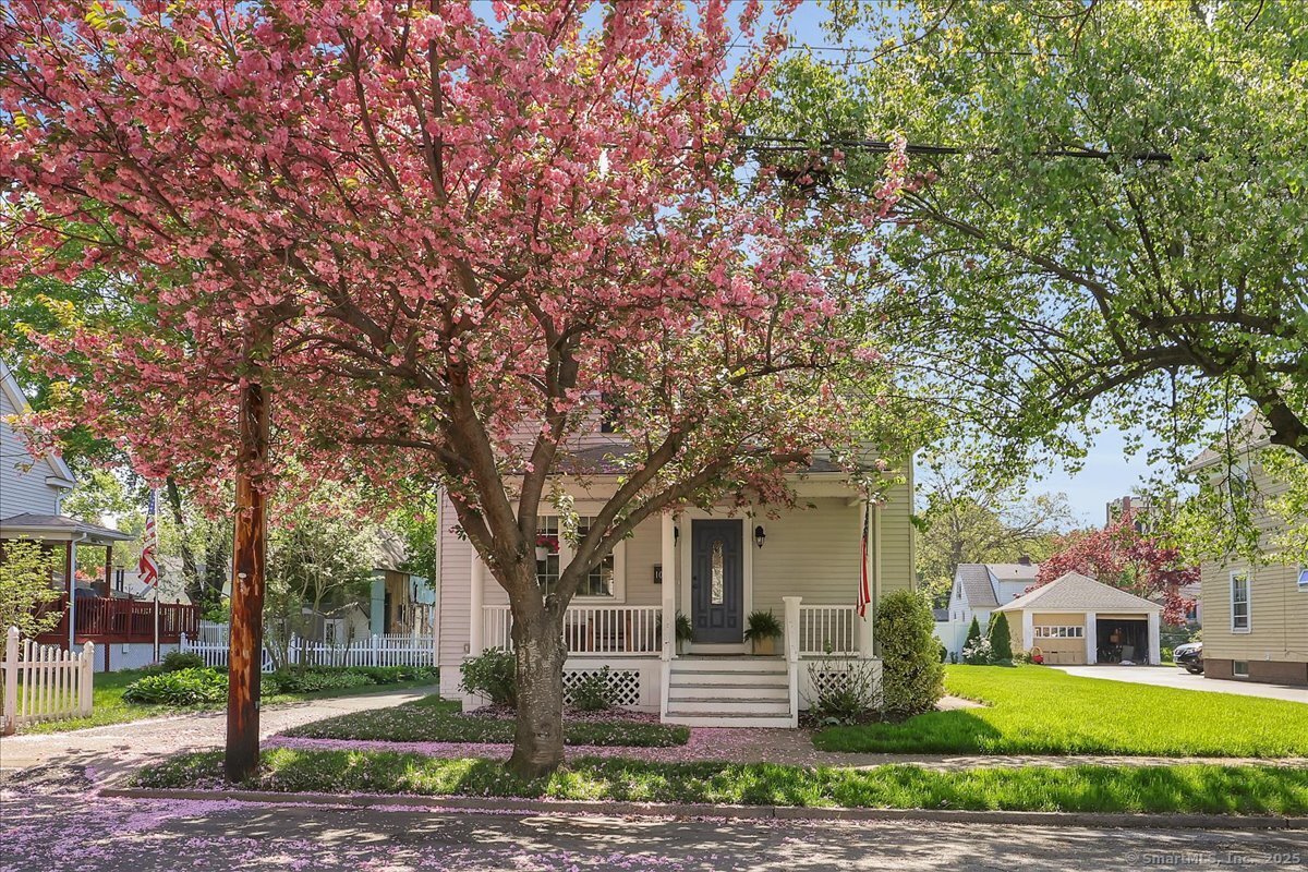 109 William Street, Wallingford, Connecticut image 2