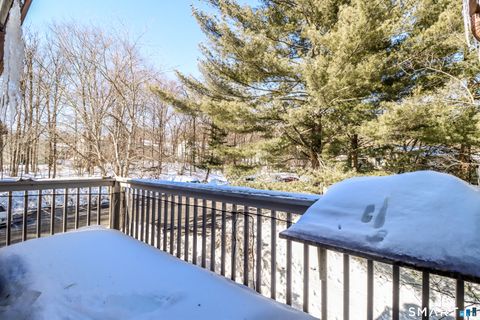 Tiny photo for 7 Padanaram Road #C53, Danbury, CT 06811 (MLS # 24153803)