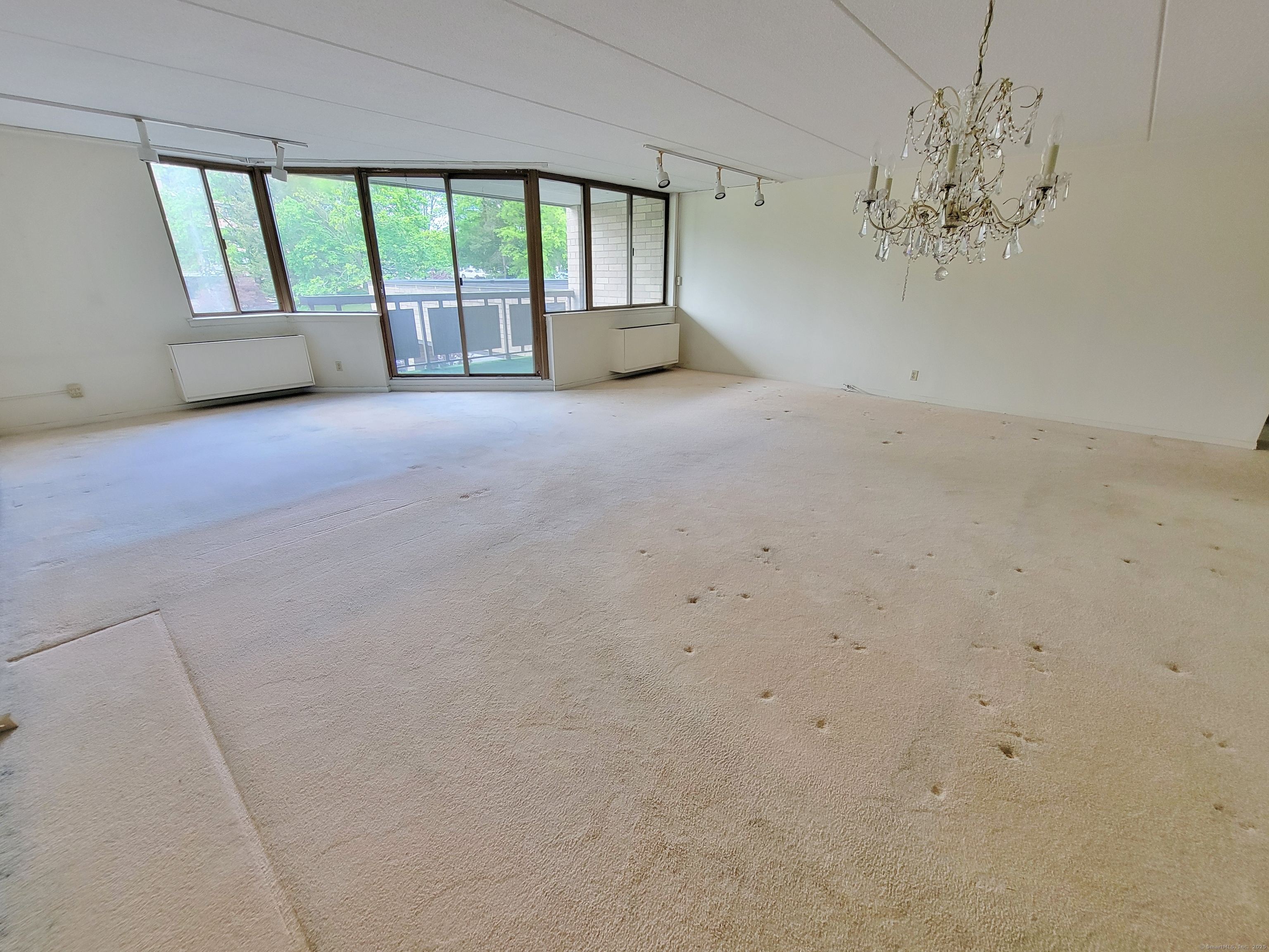 143 Hoyt Street APT 1F