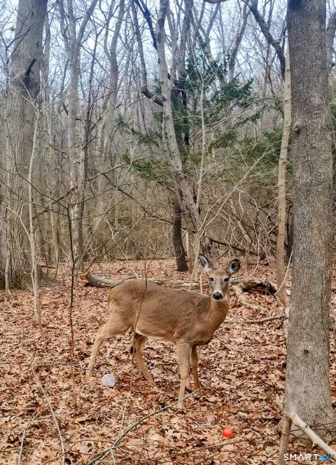 Tiny photo for 63 Park Road, Hamden, CT 06517 (MLS # 24168175)