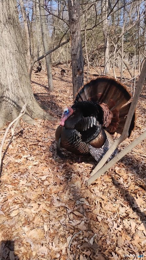 Tiny photo for 63 Park Road, Hamden, CT 06517 (MLS # 24168175)