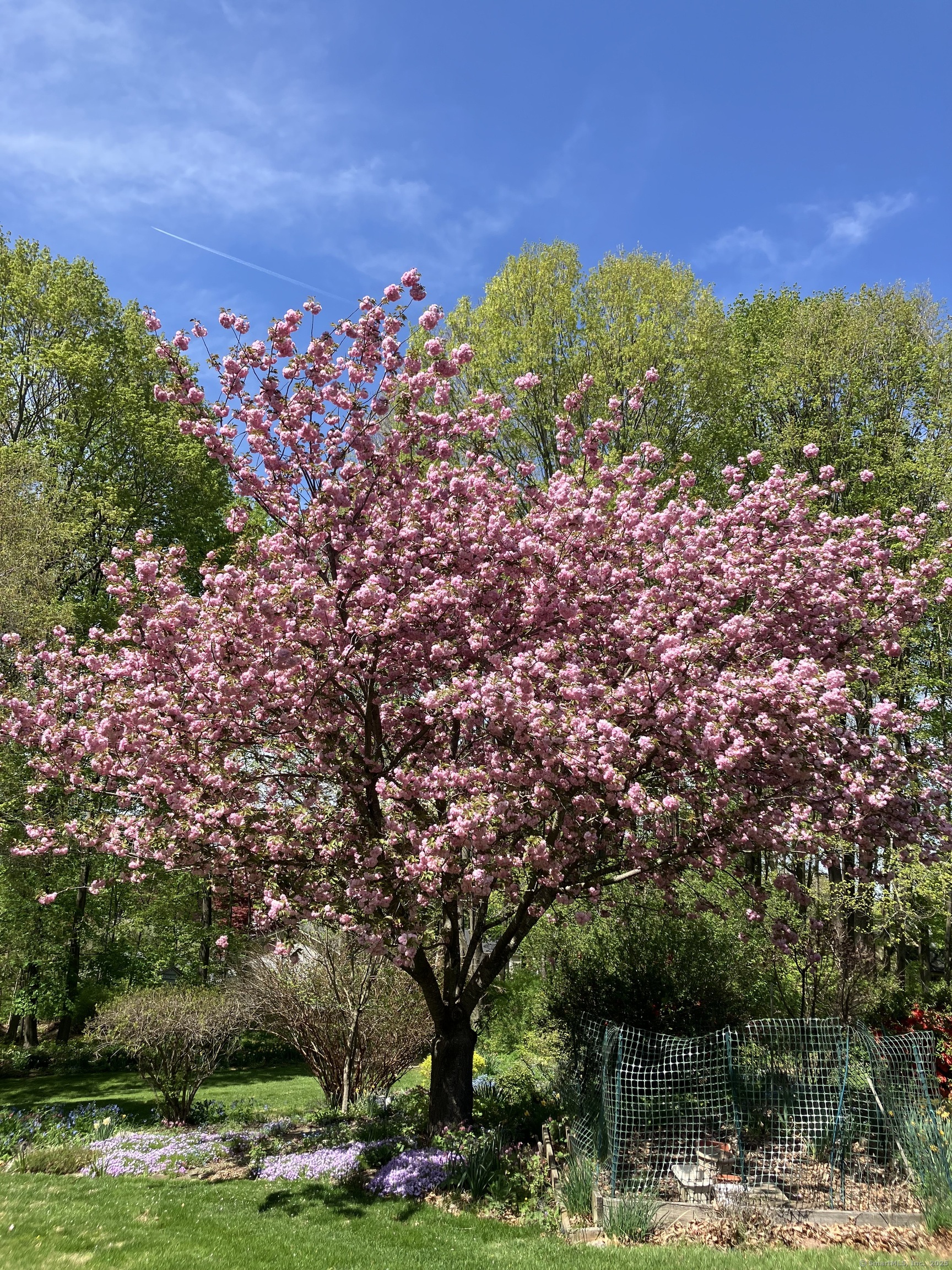 80 Hoyts Hill, Bethel, Connecticut image 34