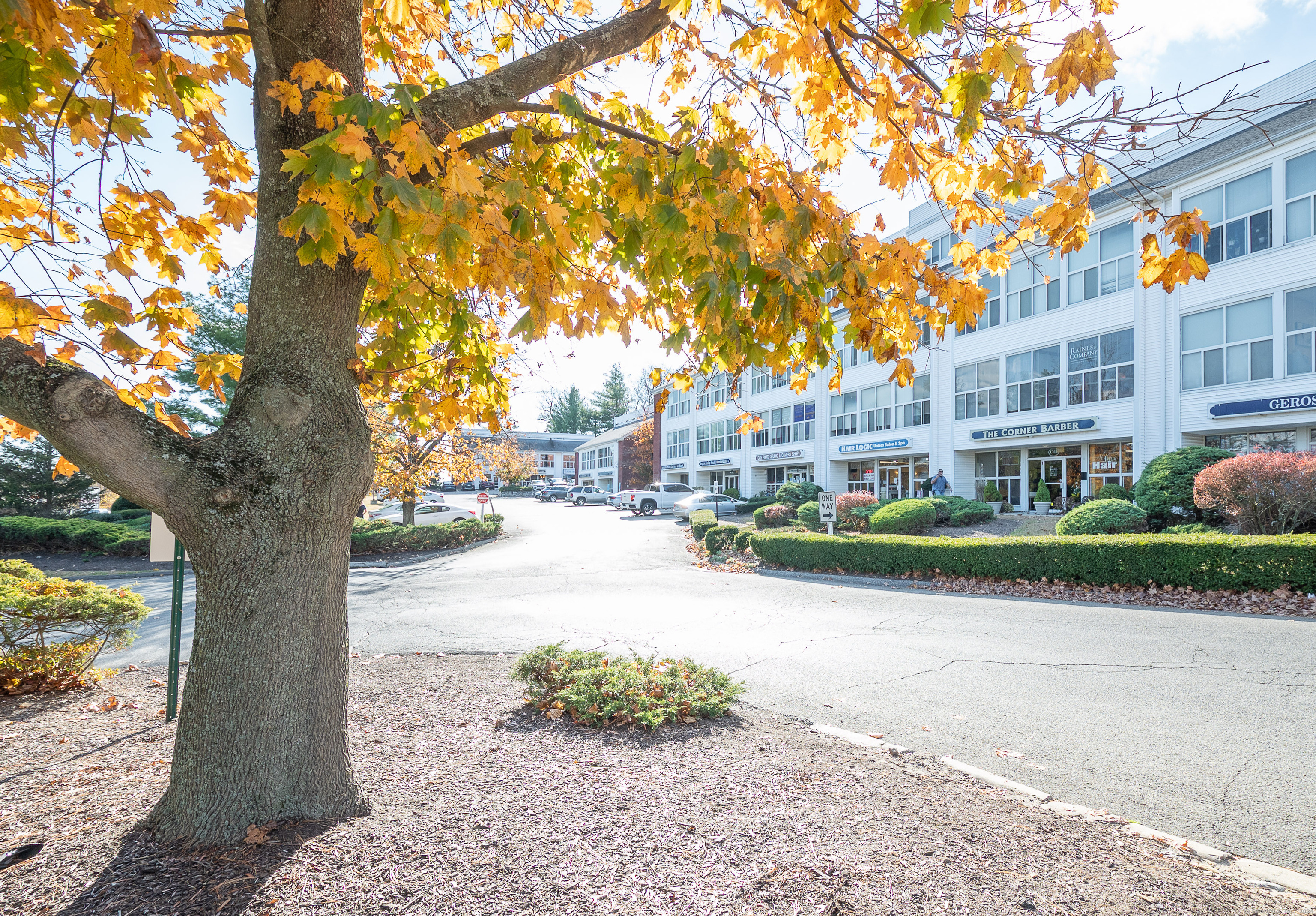 246 Federal Road C15