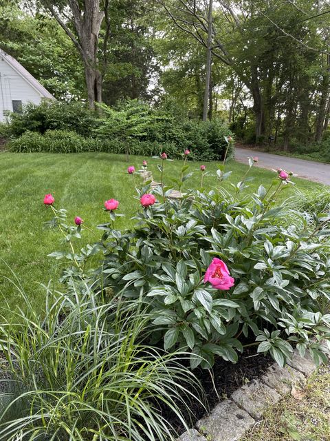 A home in Old Lyme