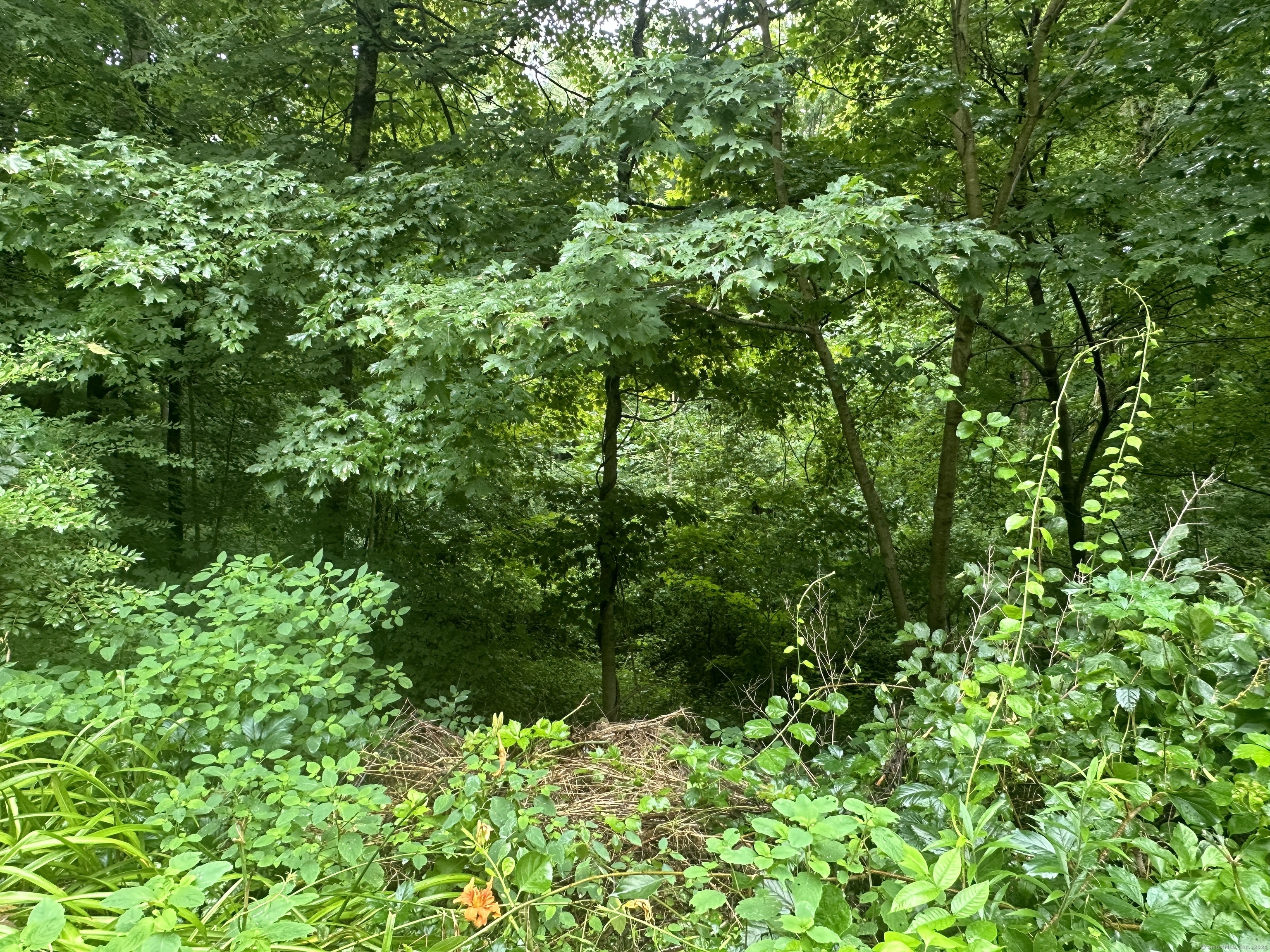 10 Railroad Avenue, East Hampton, Connecticut image 6