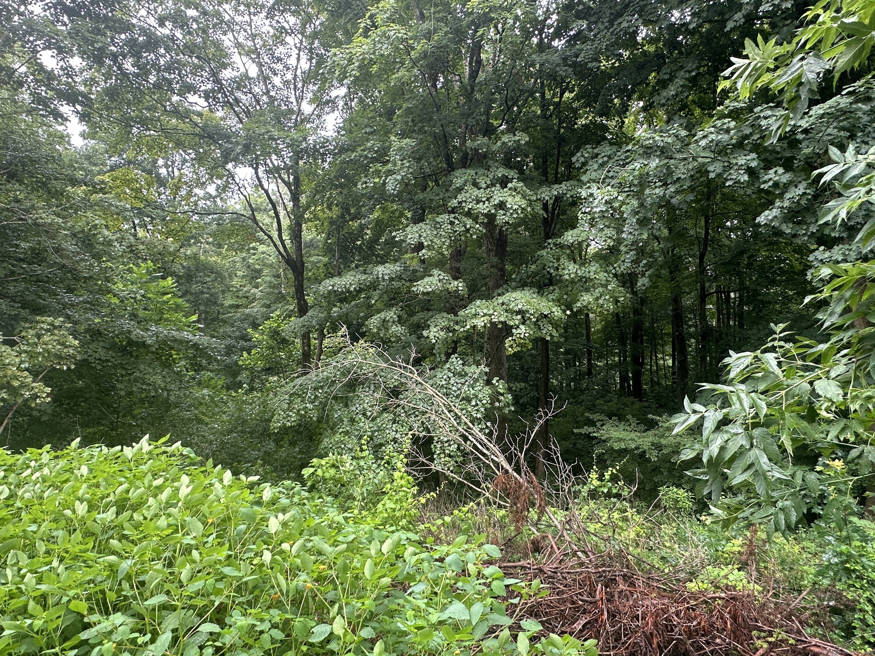 10 Railroad Avenue, East Hampton, Connecticut image 9