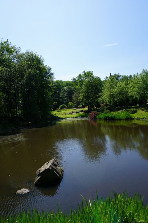 A home in New Canaan