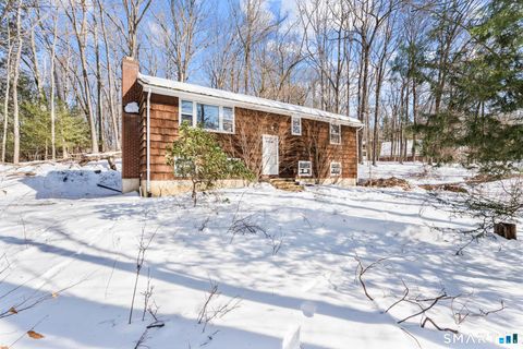 Photo of 9 New Light Drive, Danbury, CT 06810 (MLS # 24154186)