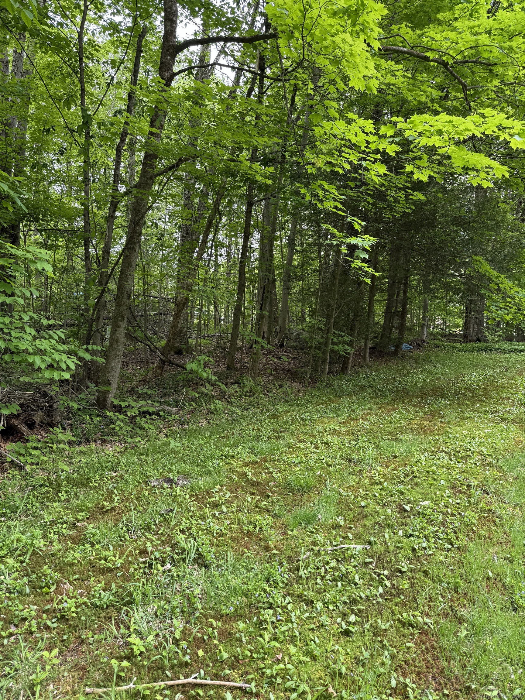 197 Meyer Road, Torrington, Connecticut image 17