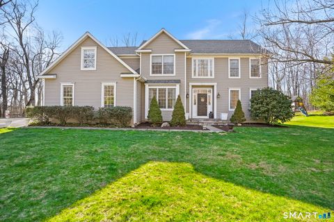 Photo of 16 N Beech Tree Road, Brookfield, CT 06804 (MLS # 24166095)