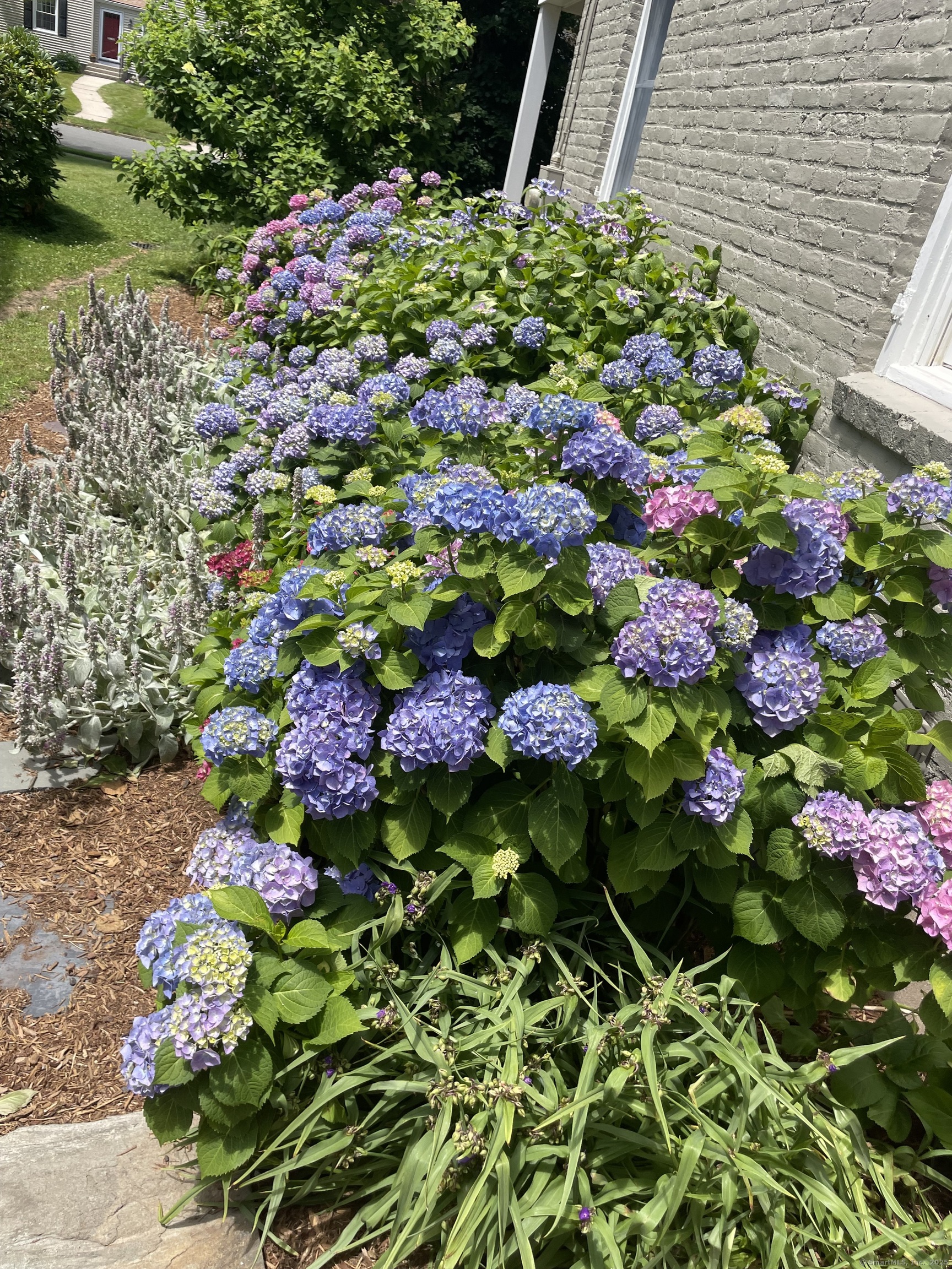 310 Auburn Road, West Hartford, Connecticut image 36