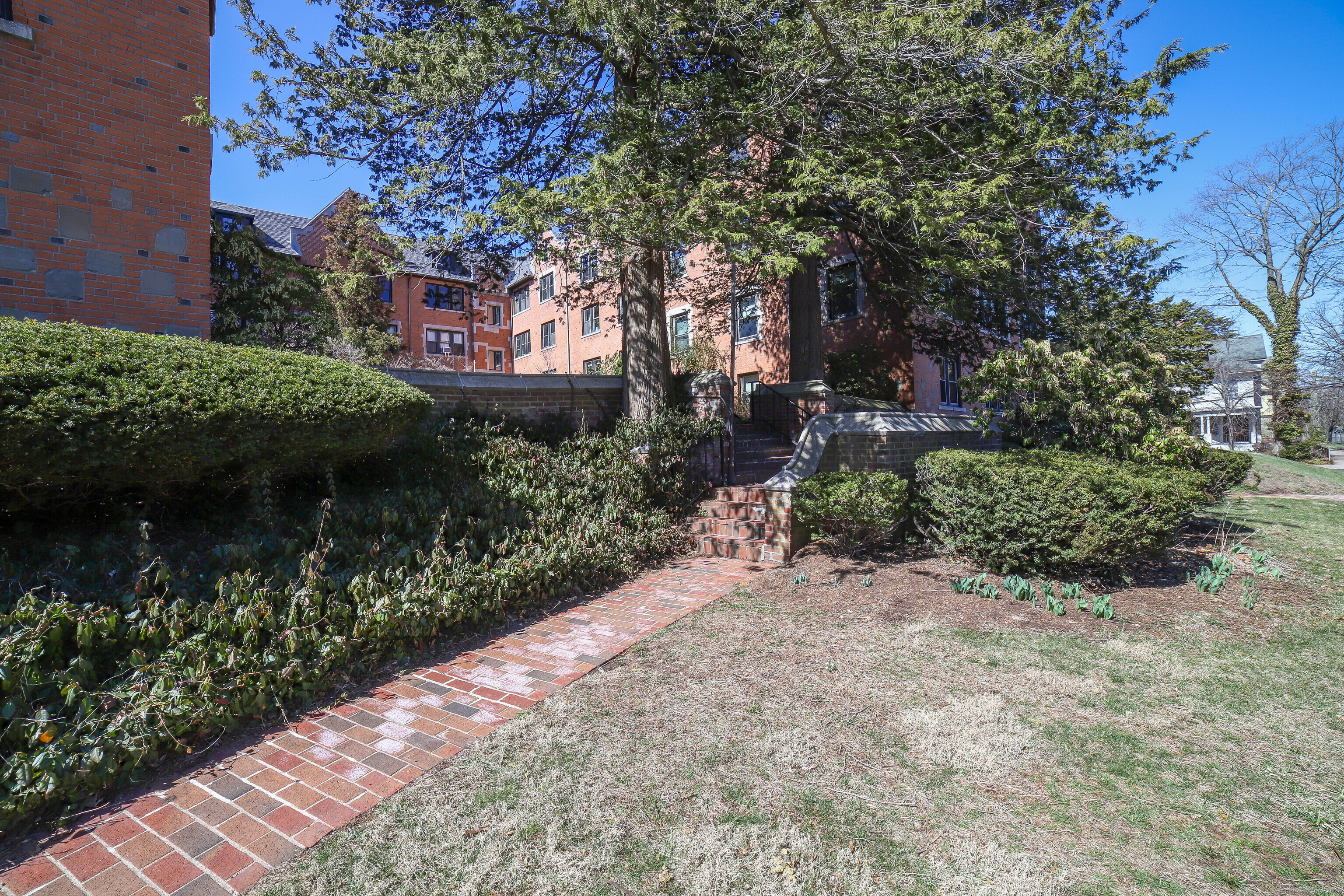 106 Livingston Street #C5, New Haven, Connecticut image 4
