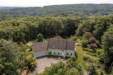 7 Brandy Lane Bridgewater CT 06752