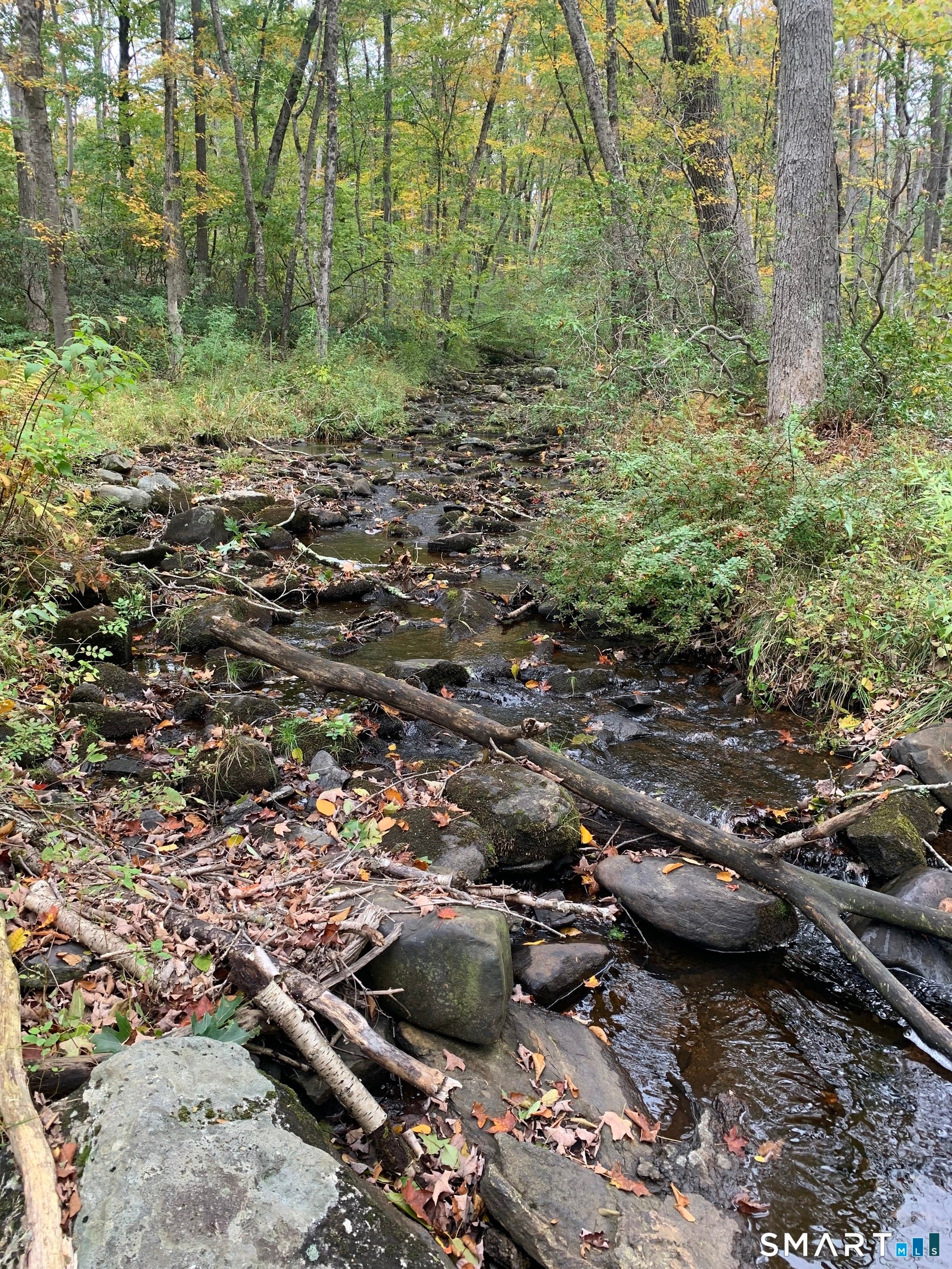 Potter School Road