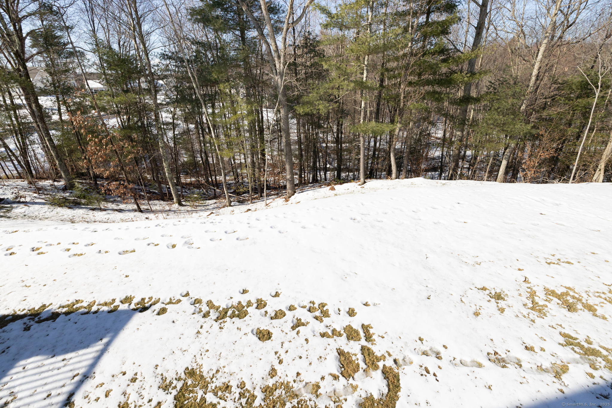 7 Arrowwood Court #7, Middlebury, Connecticut image 36