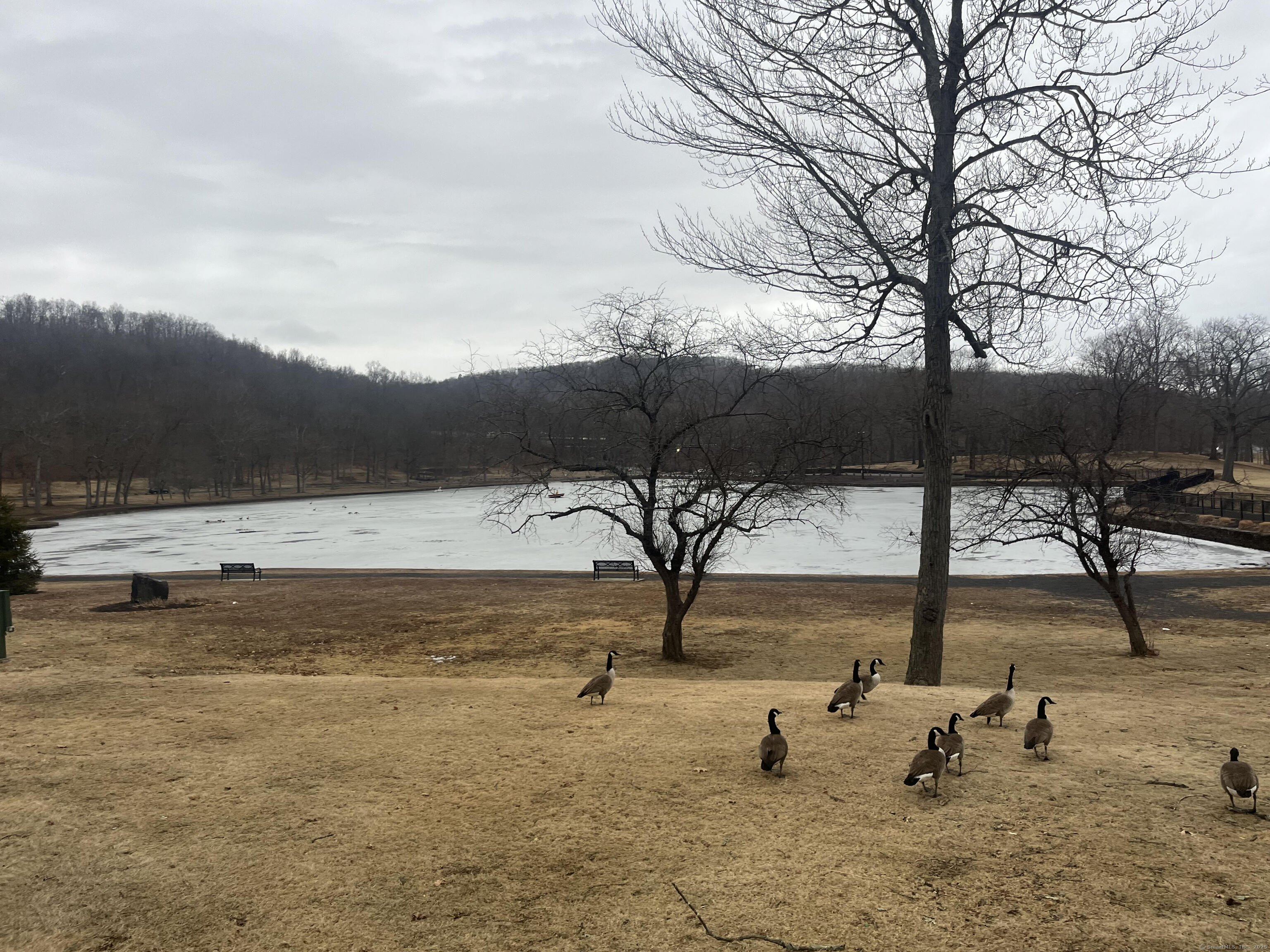 793 W Main Street #APT D, Meriden, Connecticut image 27
