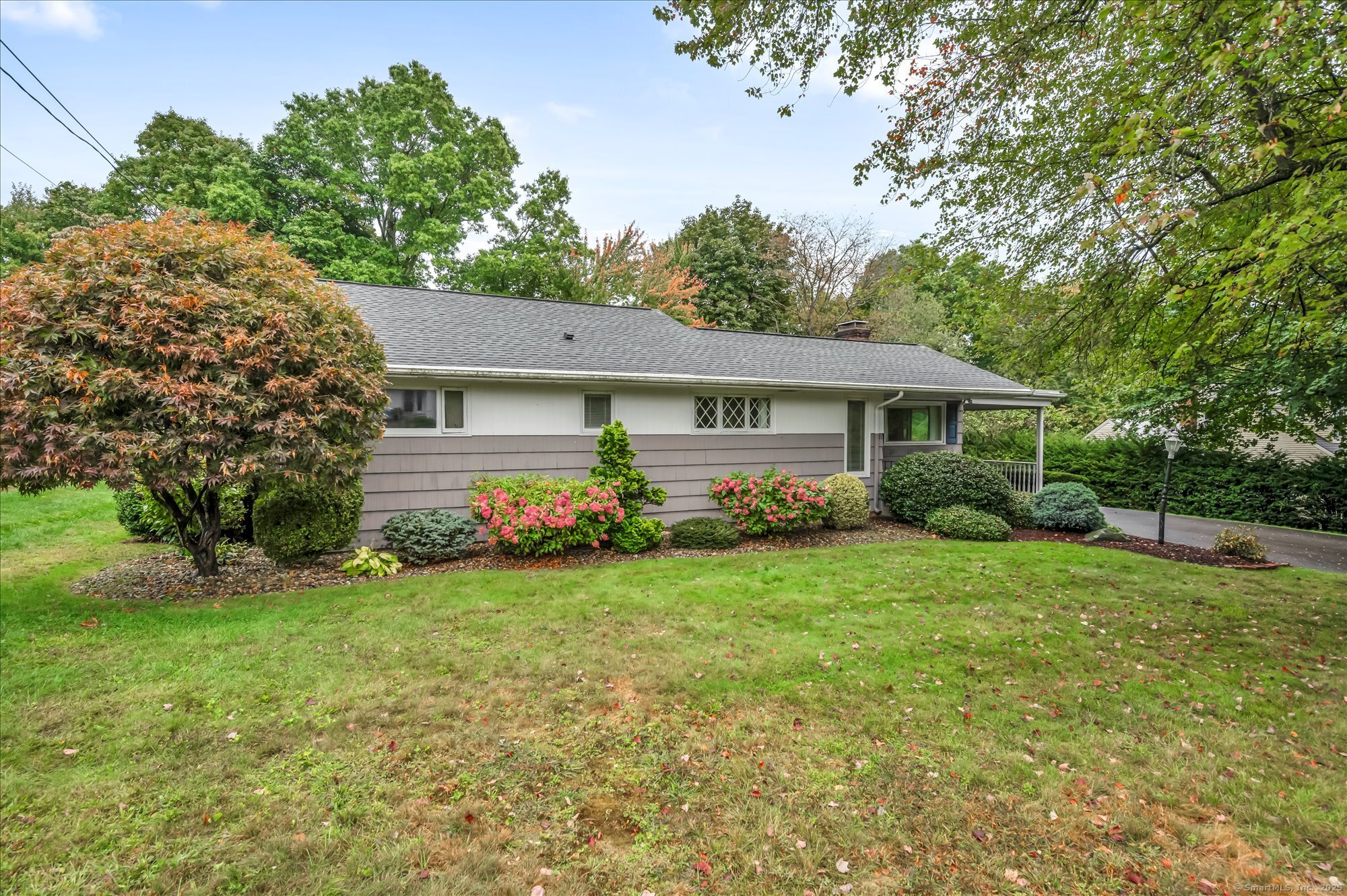 11 Carman Road