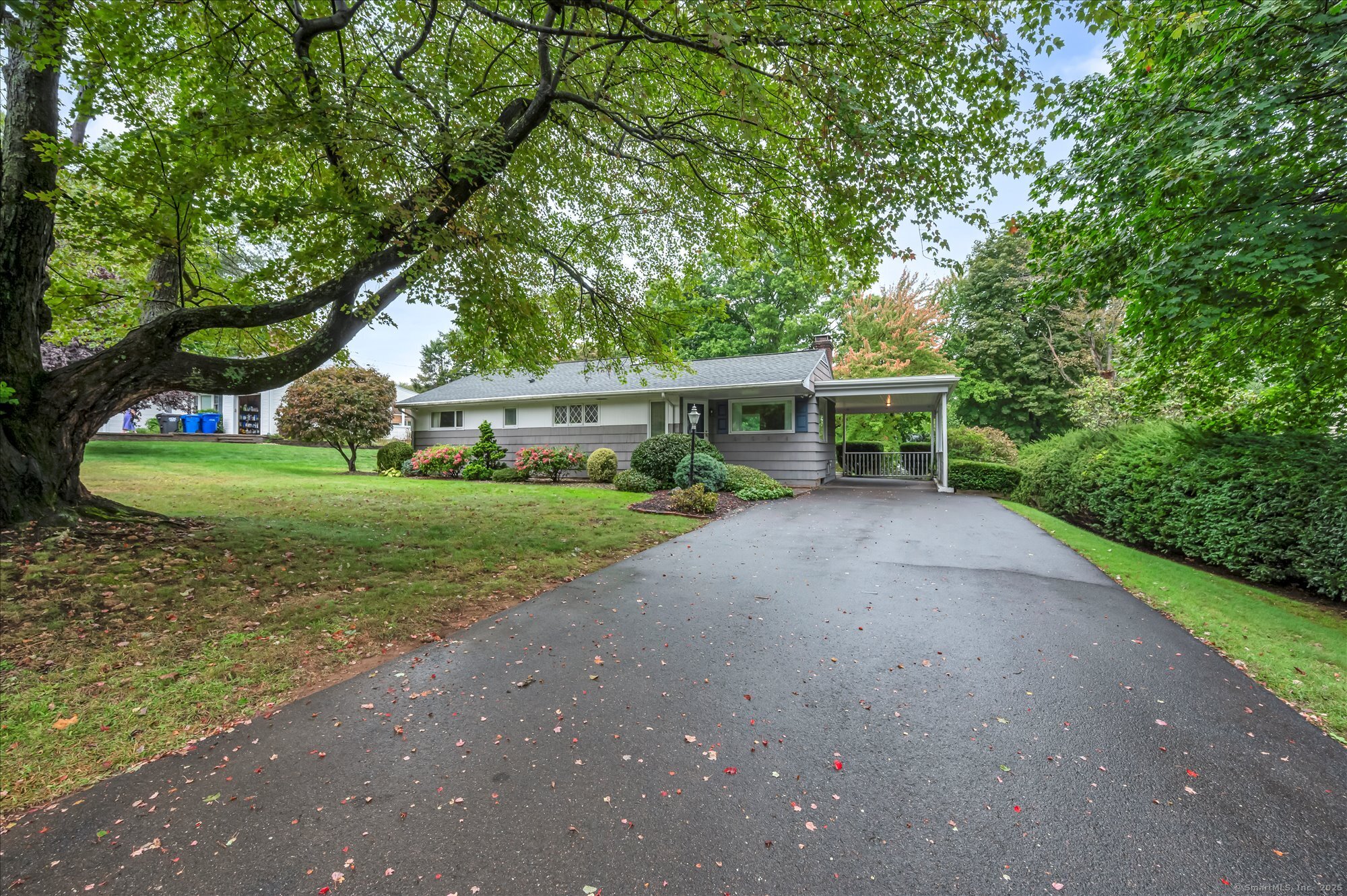 11 Carman Road