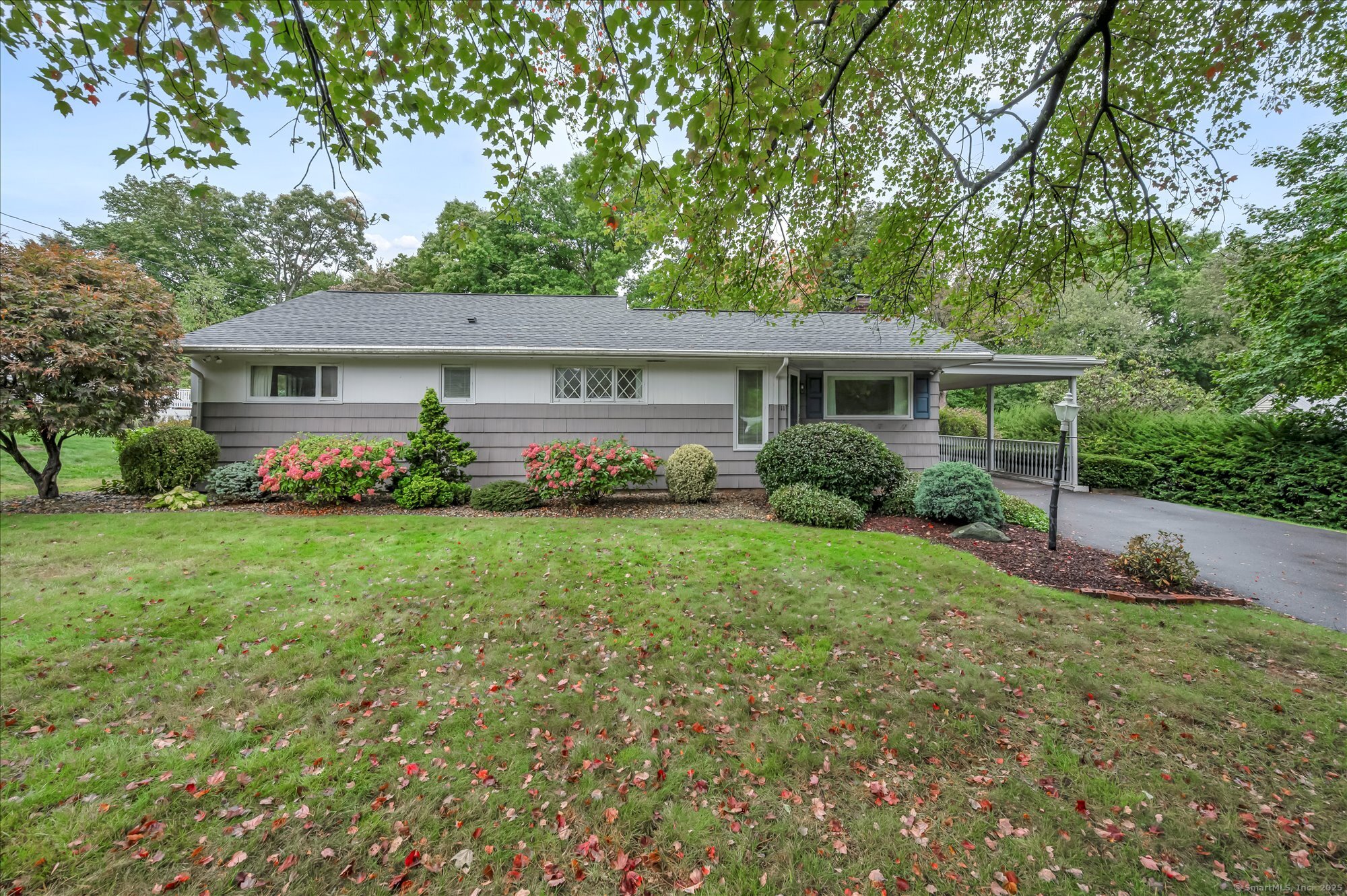 11 Carman Road