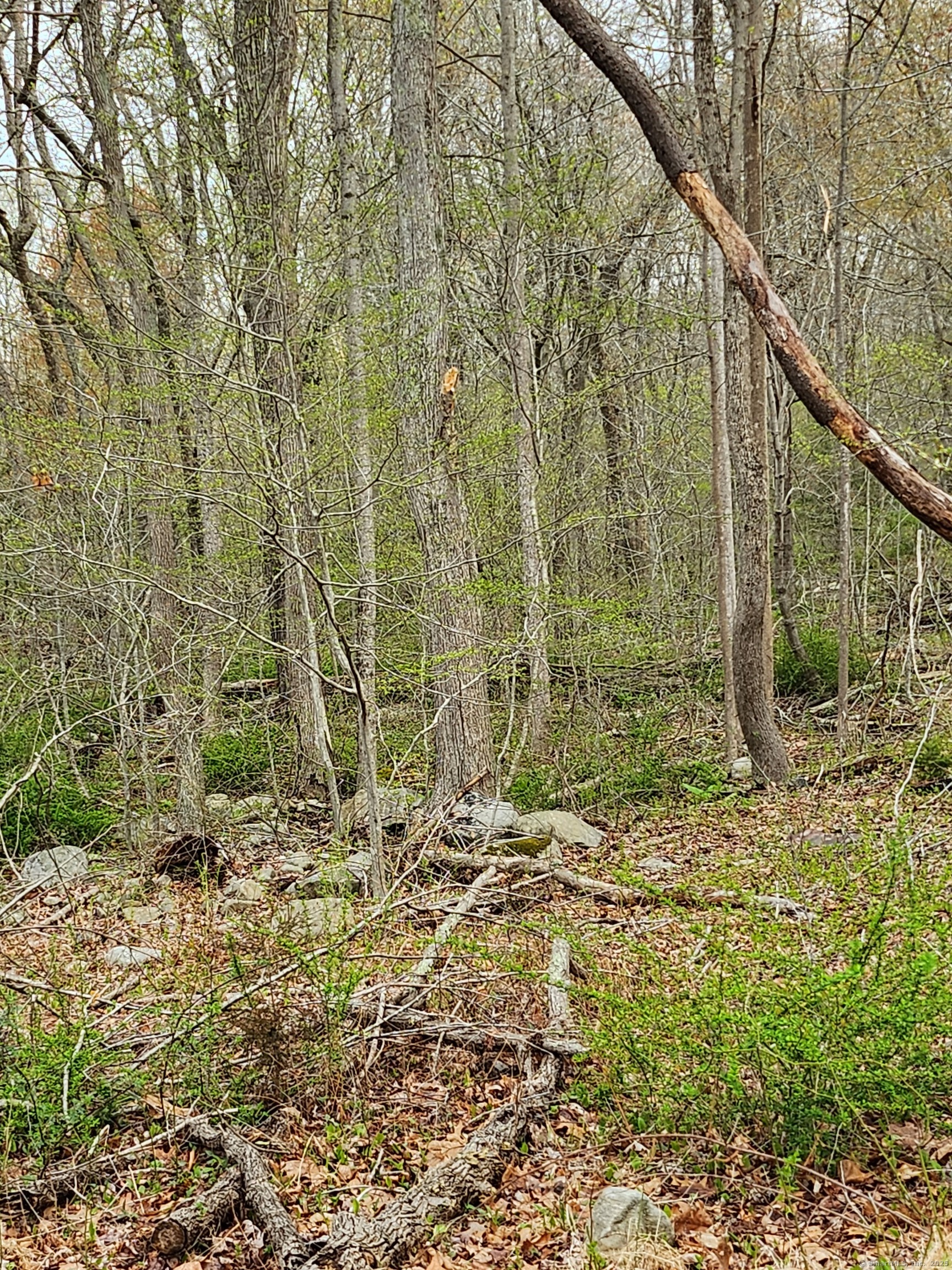 Westbrook Road, Deep River, Connecticut image 19