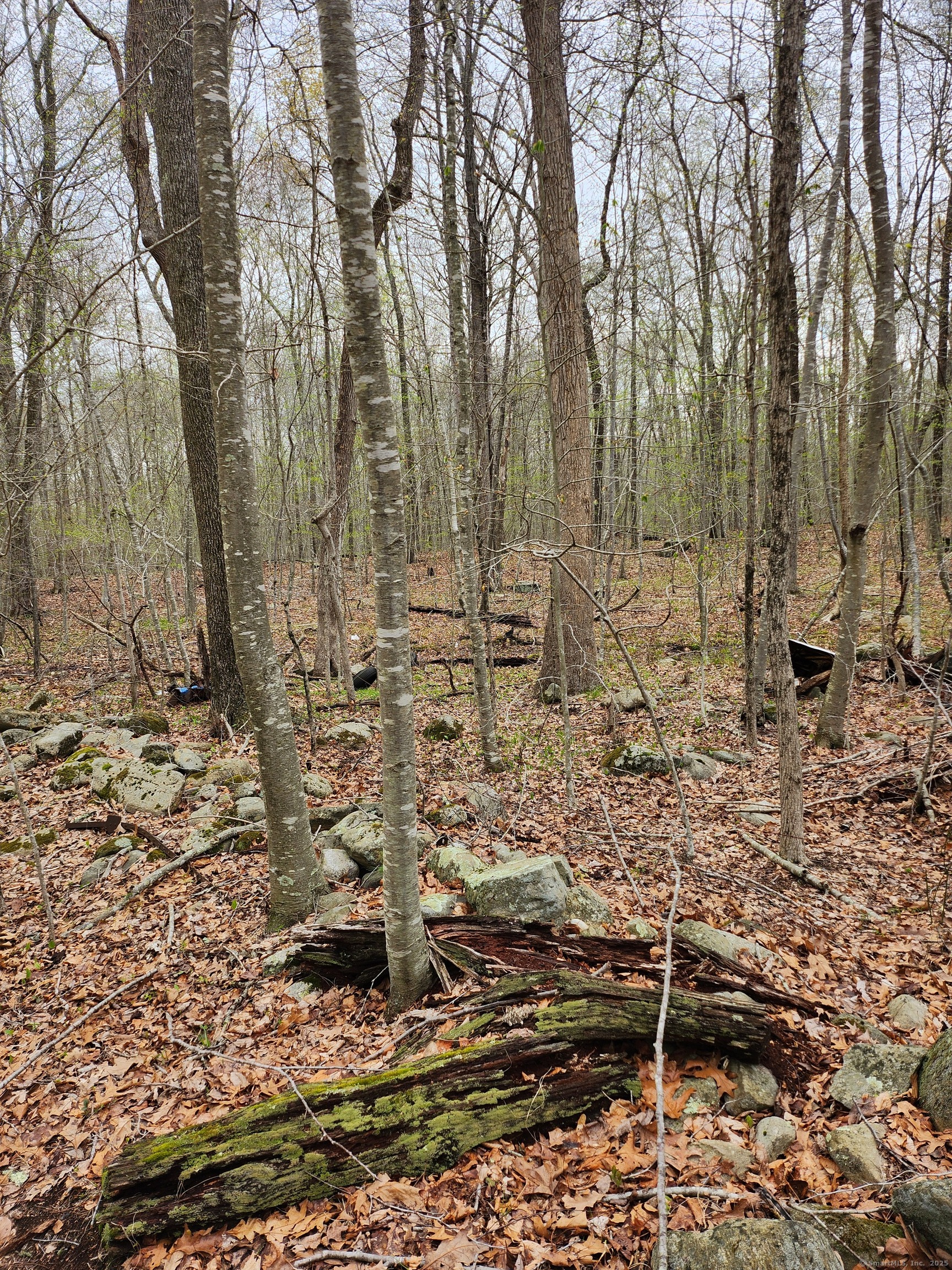 Westbrook Road, Deep River, Connecticut image 9