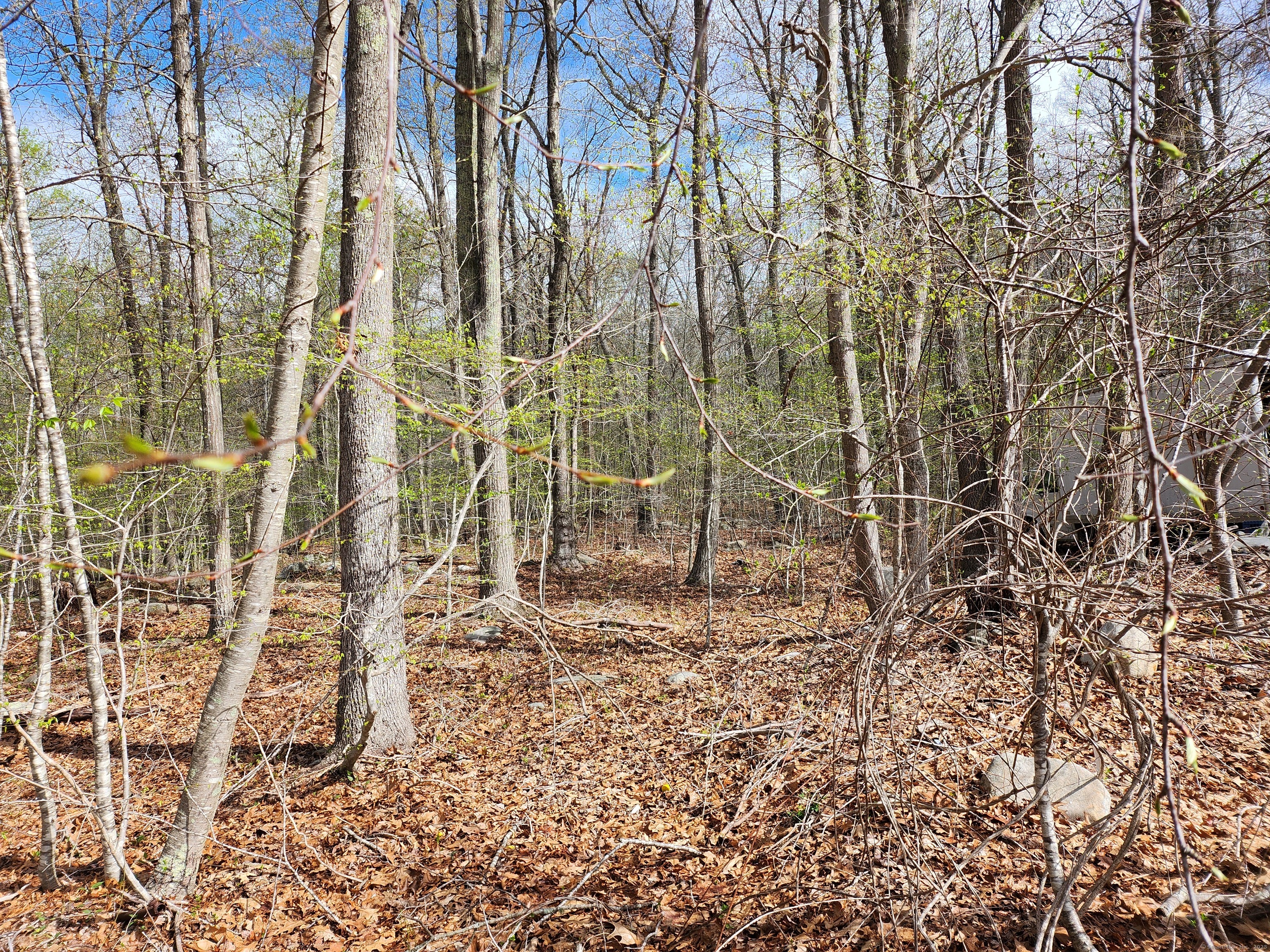 Westbrook Road, Deep River, Connecticut image 7