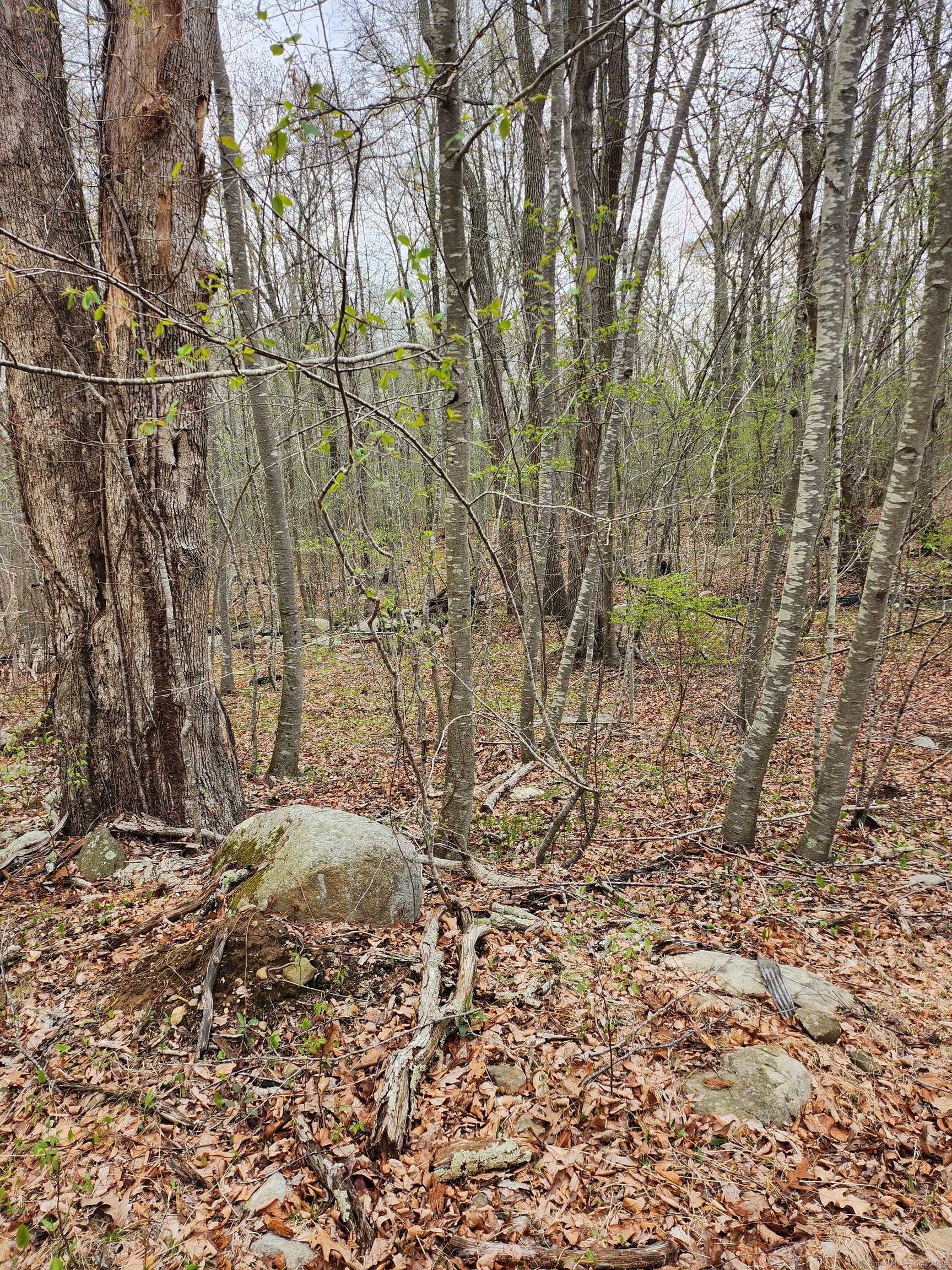Westbrook Road, Deep River, Connecticut image 14