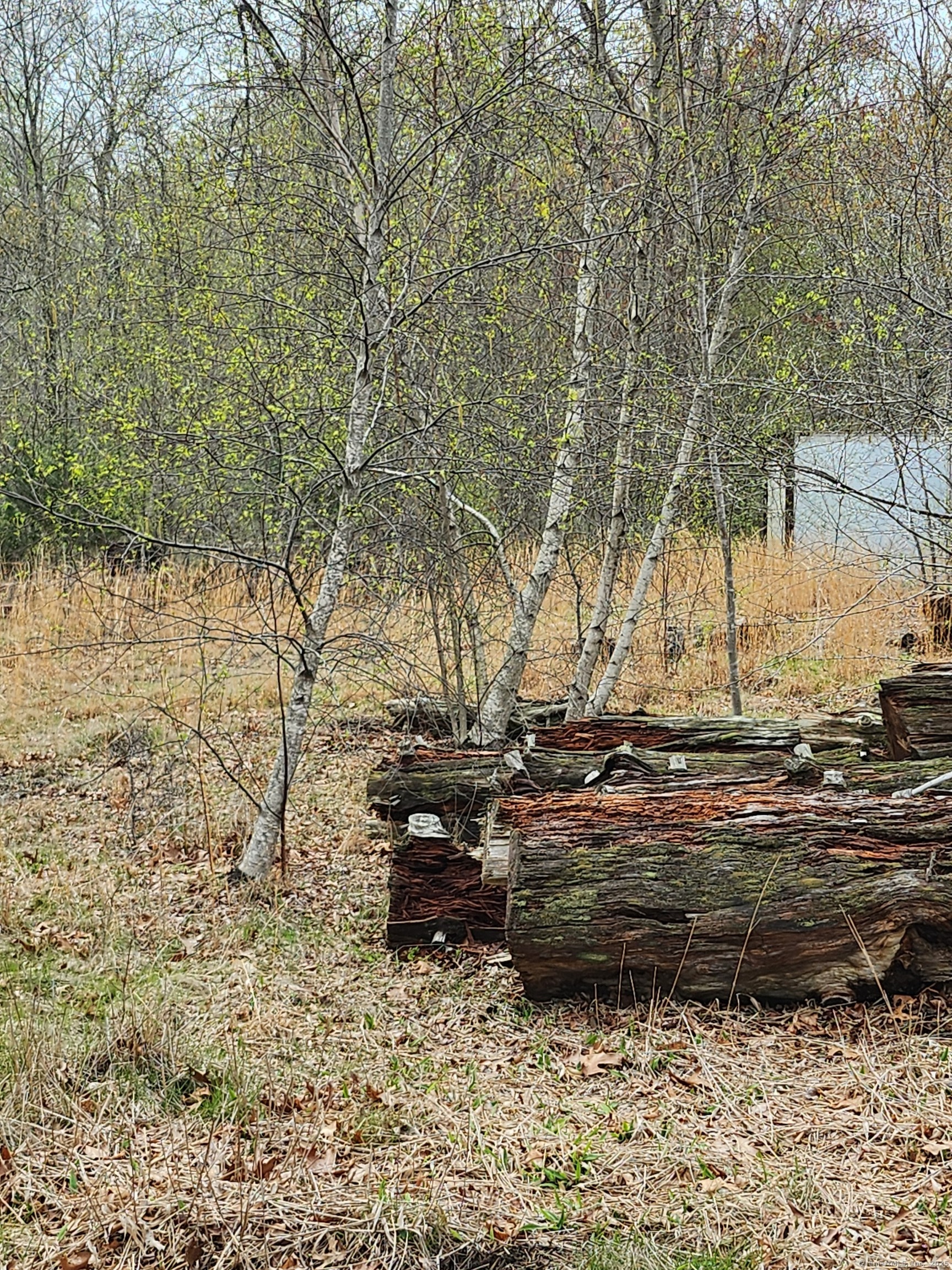 Westbrook Road, Deep River, Connecticut image 18
