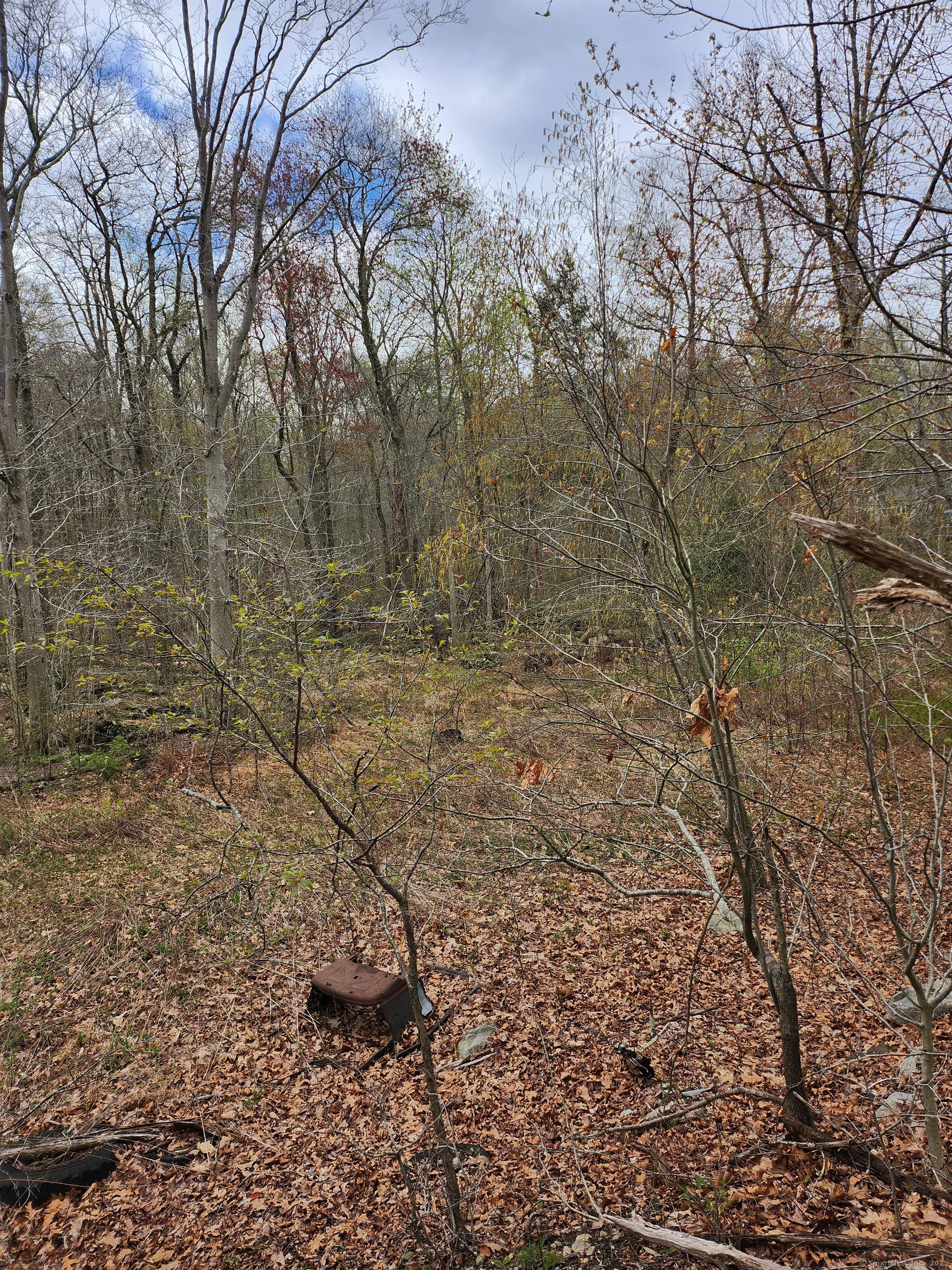 Westbrook Road, Deep River, Connecticut image 15