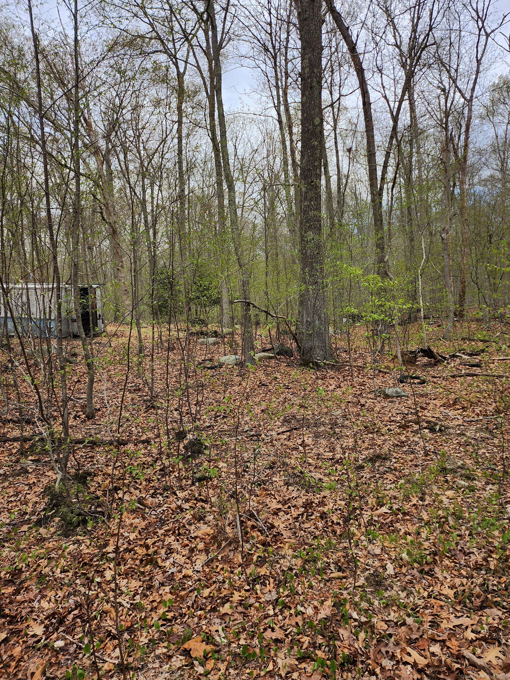 Westbrook Road, Deep River, Connecticut image 12