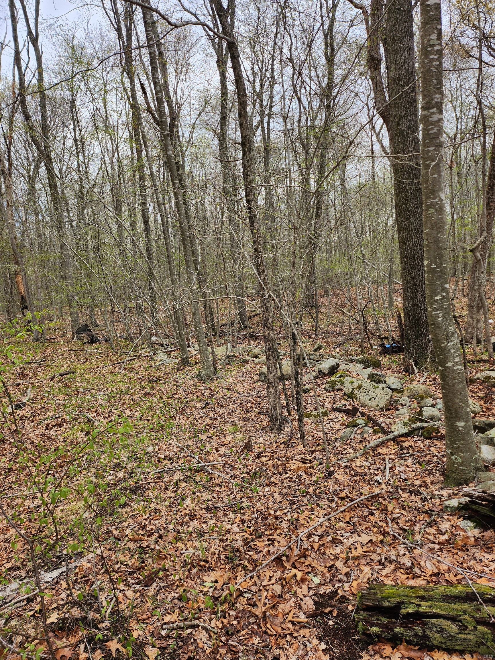 Westbrook Road, Deep River, Connecticut image 10