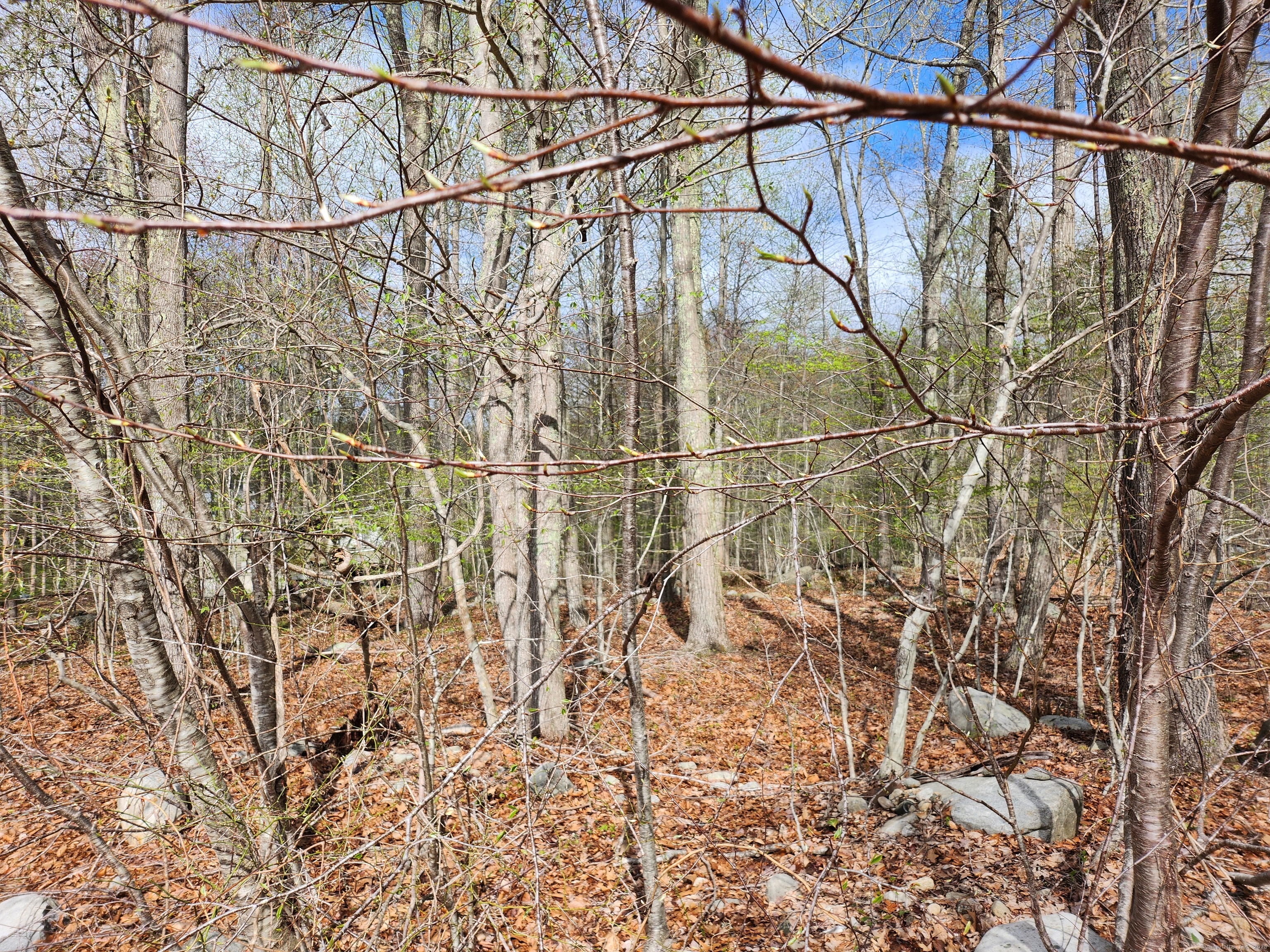 Westbrook Road, Deep River, Connecticut image 8