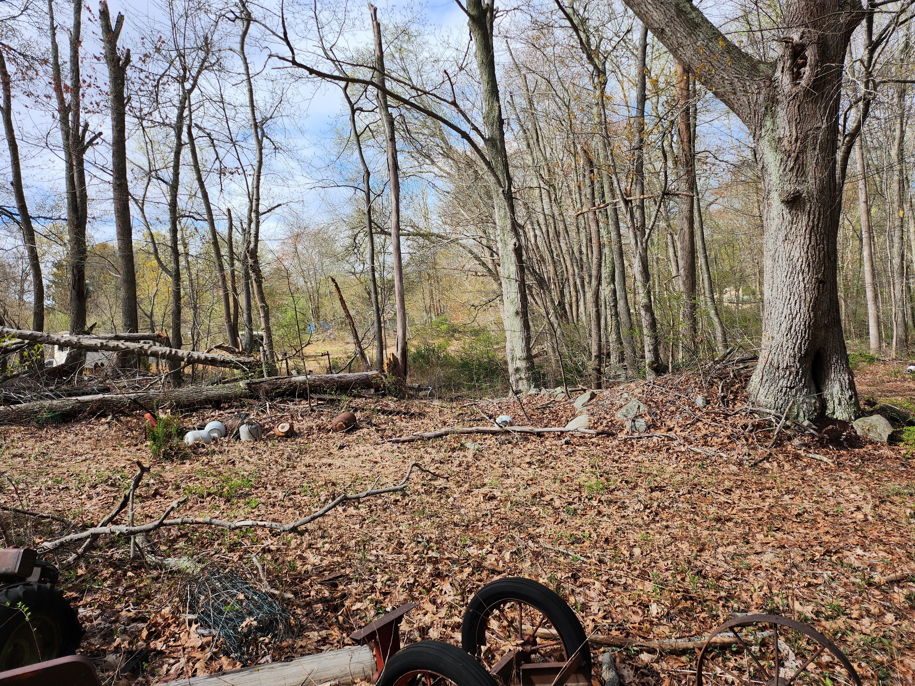Westbrook Road, Deep River, Connecticut image 6
