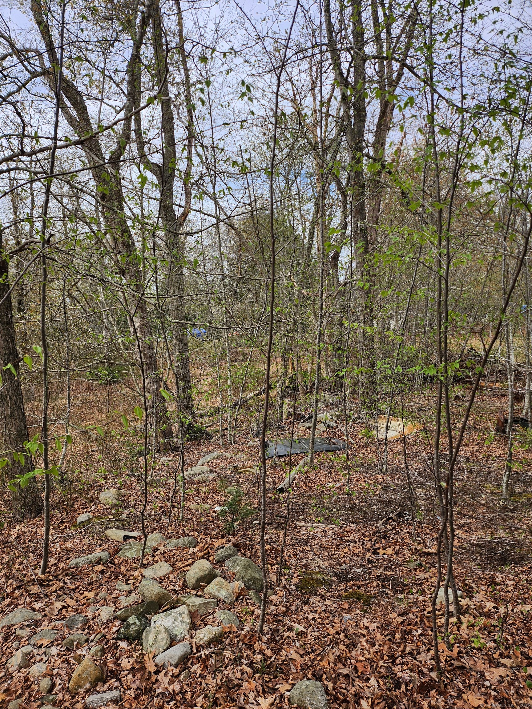 Westbrook Road, Deep River, Connecticut image 17