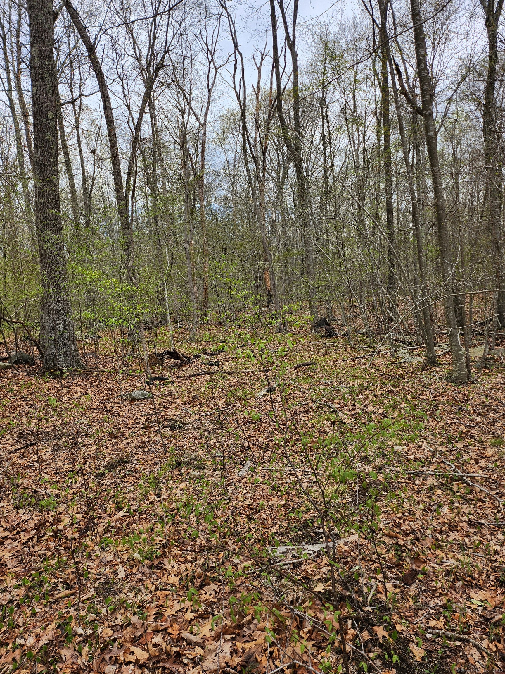 Westbrook Road, Deep River, Connecticut image 11