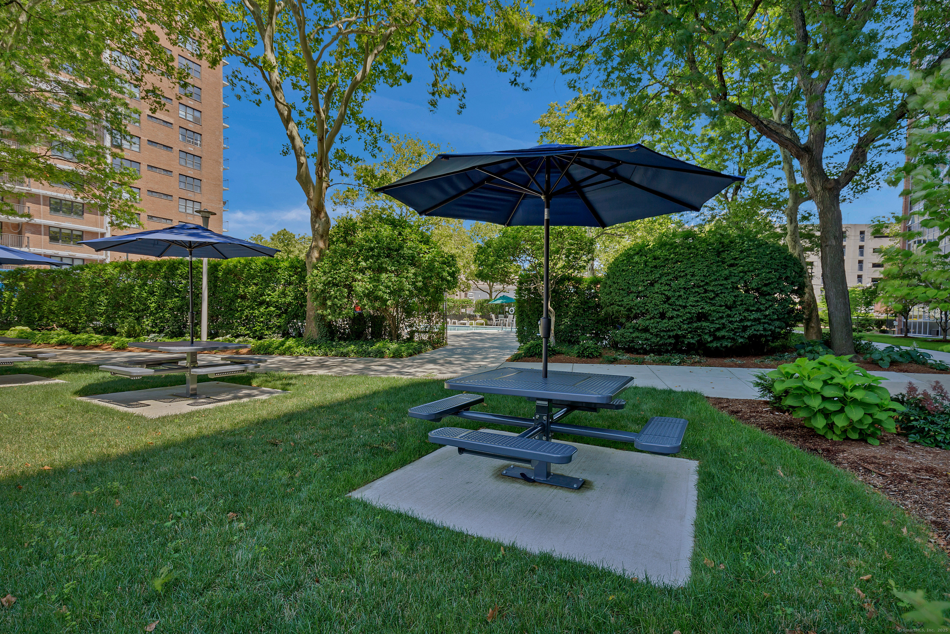 100 York Street #3DE, New Haven, Connecticut image 33