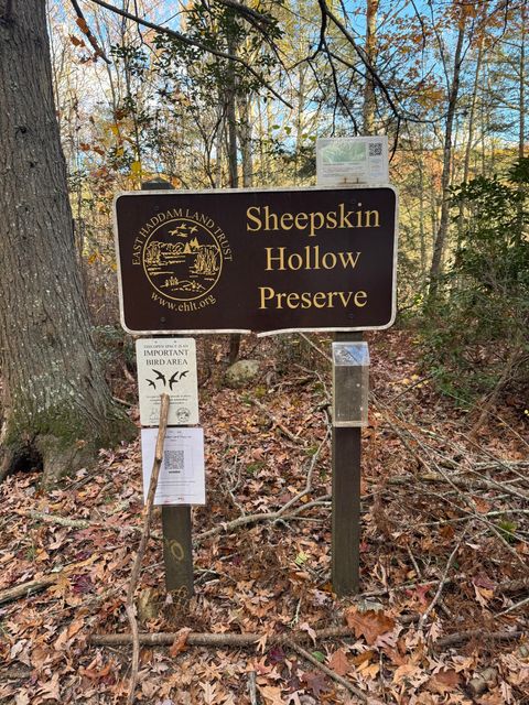 Tiny photo for 206 Sheepskin Hollow Road, East Haddam, CT 06423 (MLS # 24131263)