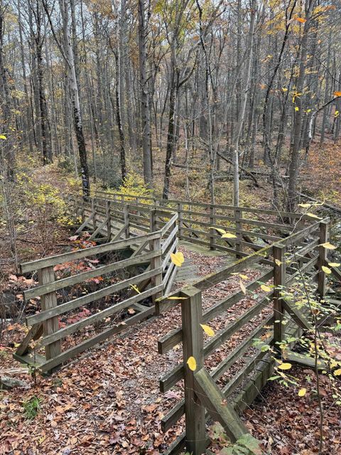 Tiny photo for 206 Sheepskin Hollow Road, East Haddam, CT 06423 (MLS # 24131263)