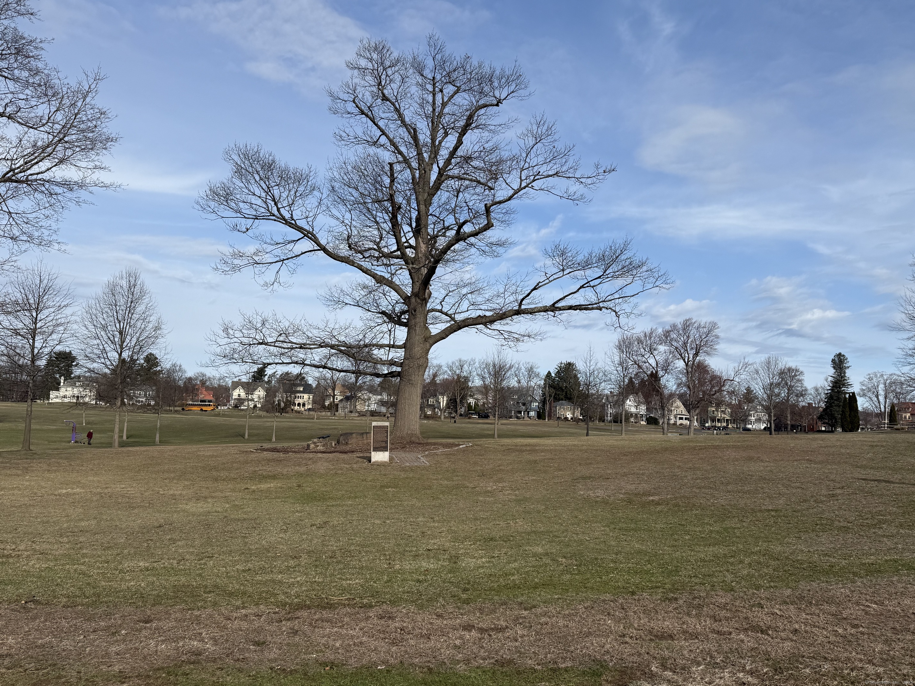 49 Hart Terrace, New Britain, Connecticut image 6