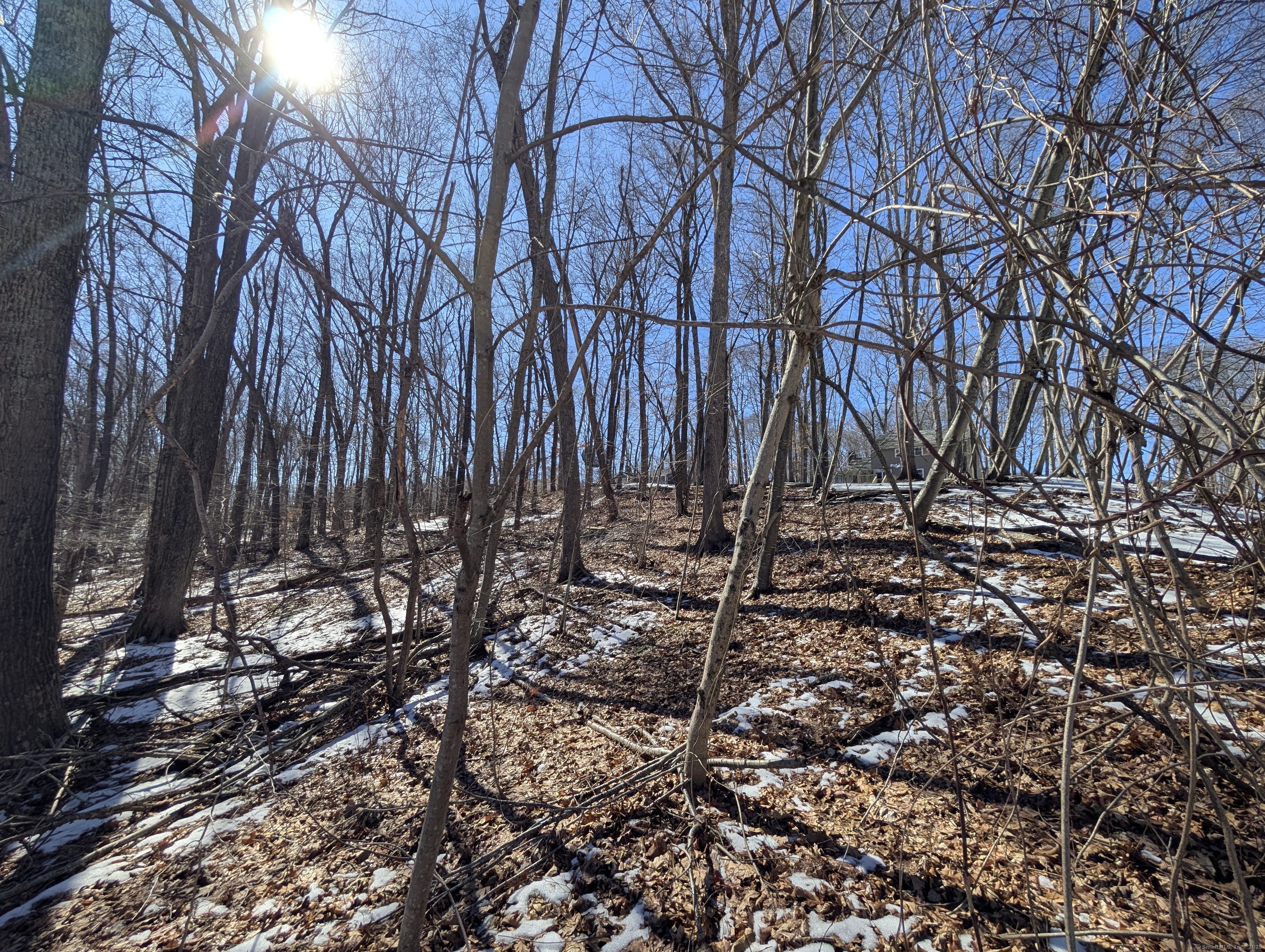 77 Timber Trail, Coventry, Connecticut image 8