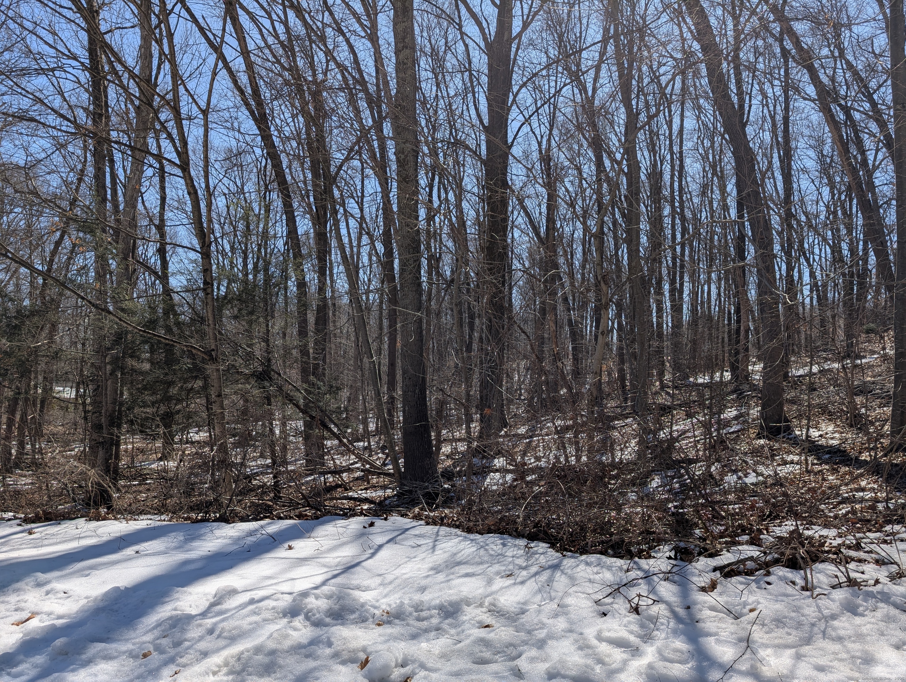 77 Timber Trail, Coventry, Connecticut image 6