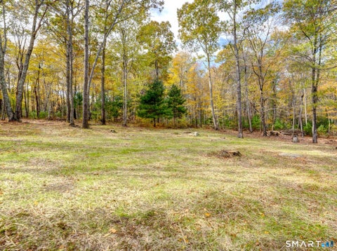 Tiny photo for 92 Brooklyn Road, Canterbury, CT 06331 (MLS # 24216685)