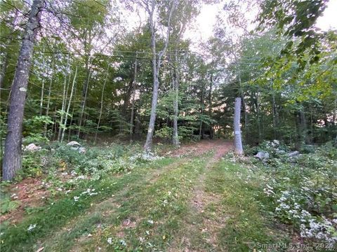 Vacant Land For Sale - 19 Potter Road<br/> Stafford, CT 06076