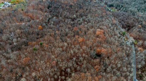 Tiny photo for 204 North Street #Lot 3, Roxbury, CT 06783 (MLS # 24139288)