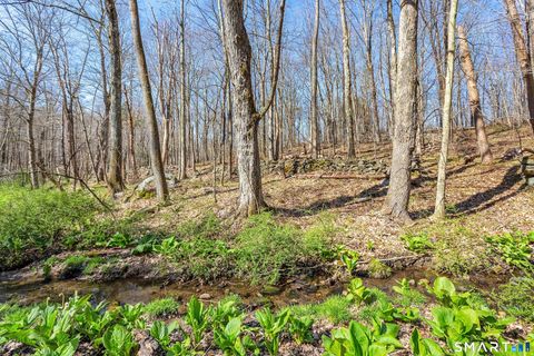 Tiny photo for 204 North Street #Lot 3, Roxbury, CT 06783 (MLS # 24139288)