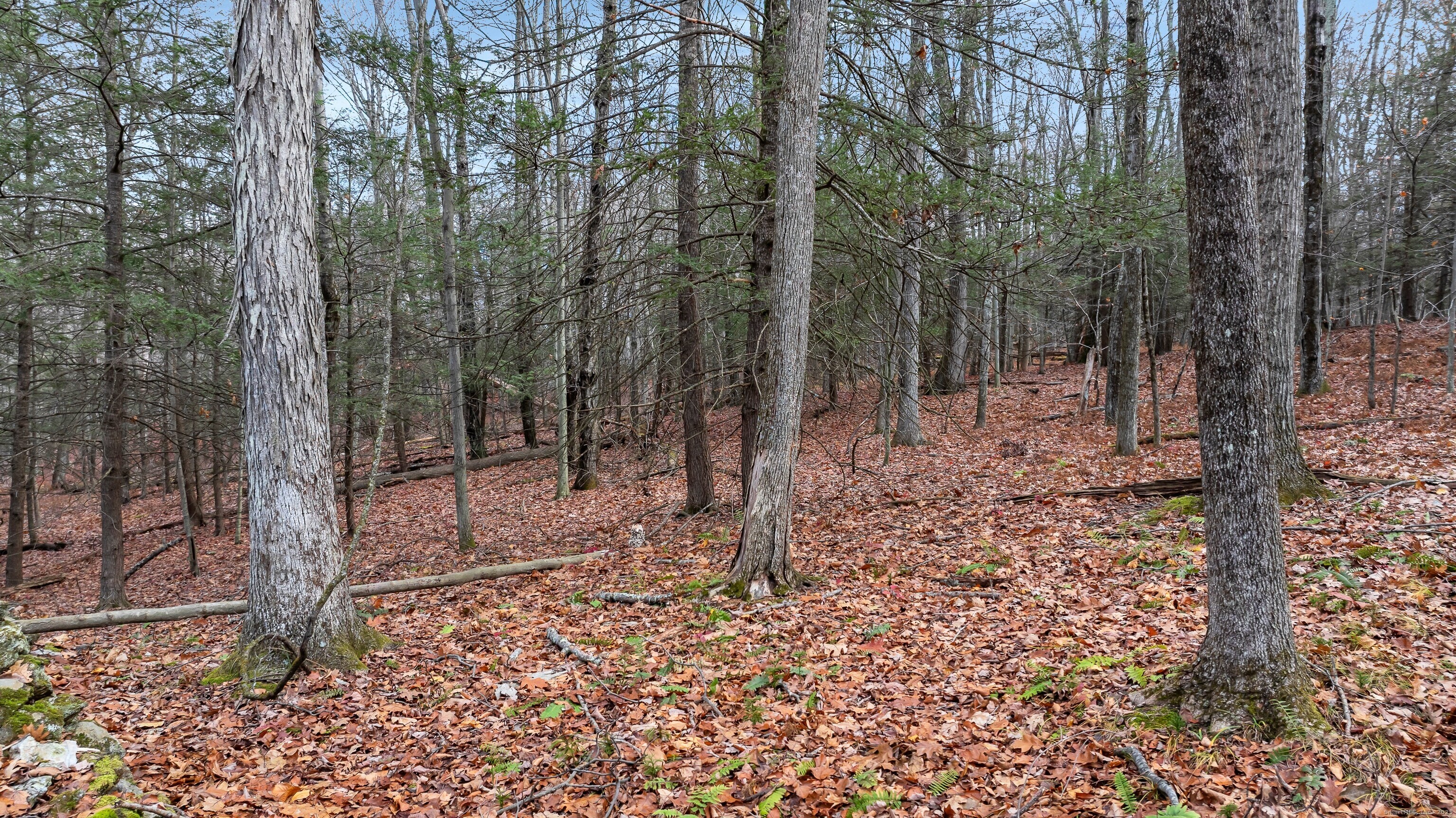 204 North Street Lot 3